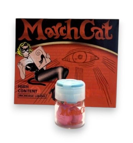March cat